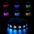 A cat wearing a polyester LED luminous collar displaying multiple colours, with a USB charging cable nearby.
