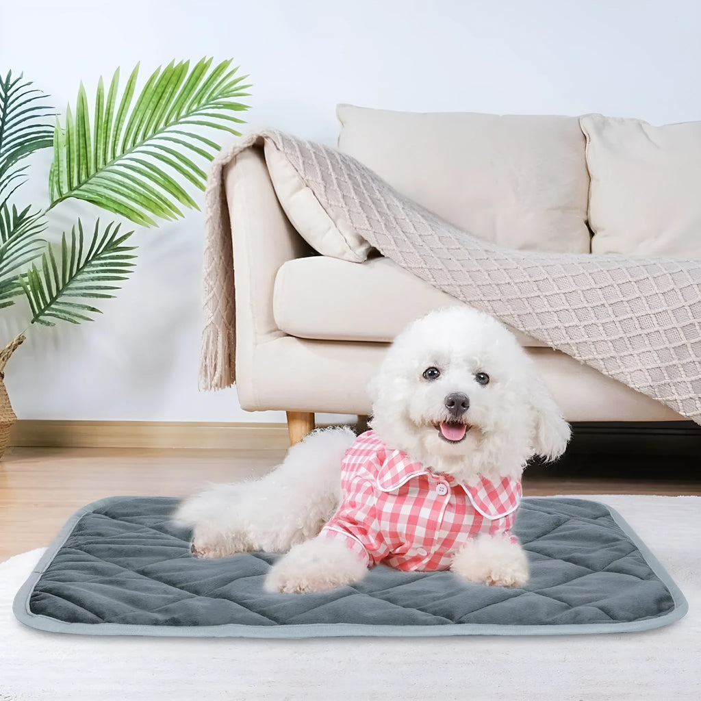 Crystal soft grey cloth personalised pet cushion shown in four available sizes for dogs and cats.