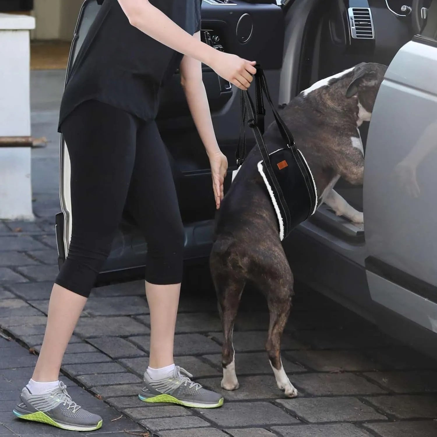 Adjustable dog mobility sling supporting a dog's hindquarters with reflective nylon straps.