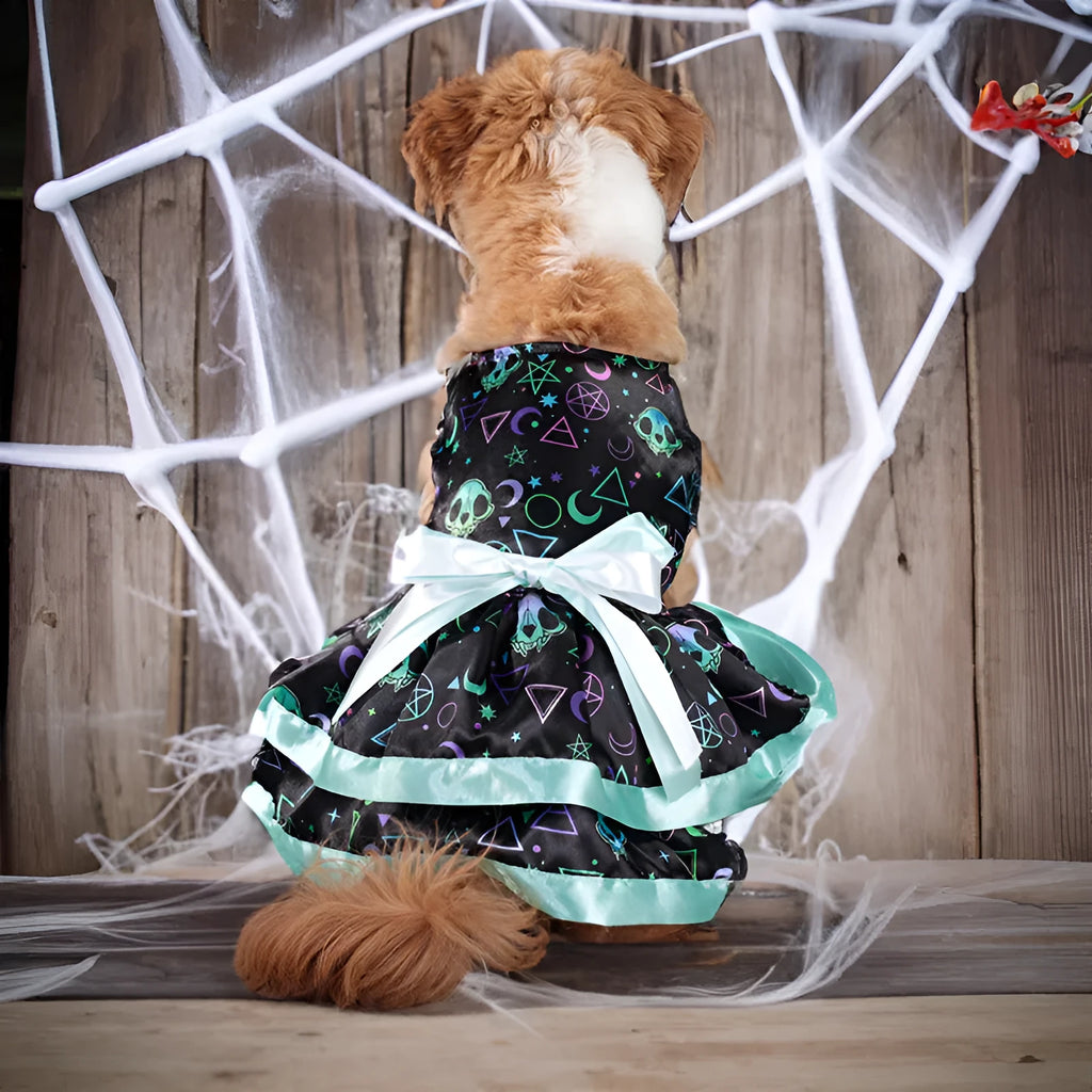Halloween dog skirt with colourful pumpkin print, shown in size M on a mannequin.
