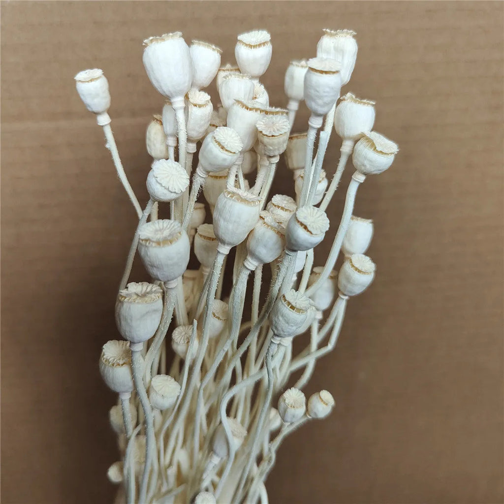 Dried flower Yu Meiren fruit DIY material bundle in multiple colours for corsage and headdress making