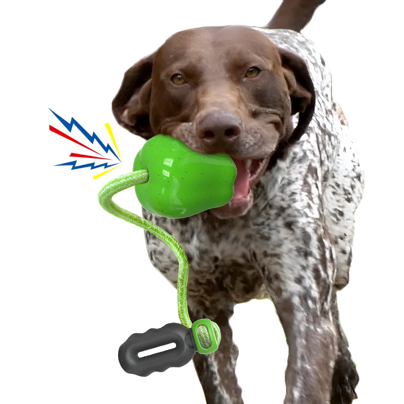 Green plastic dog chewing toy with dropping ball design for food dispensing