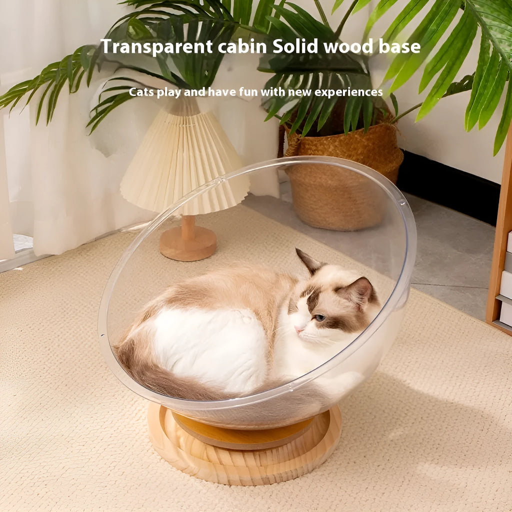 Transparent acrylic cat space capsule bathtub bed or cage on a wooden floor.