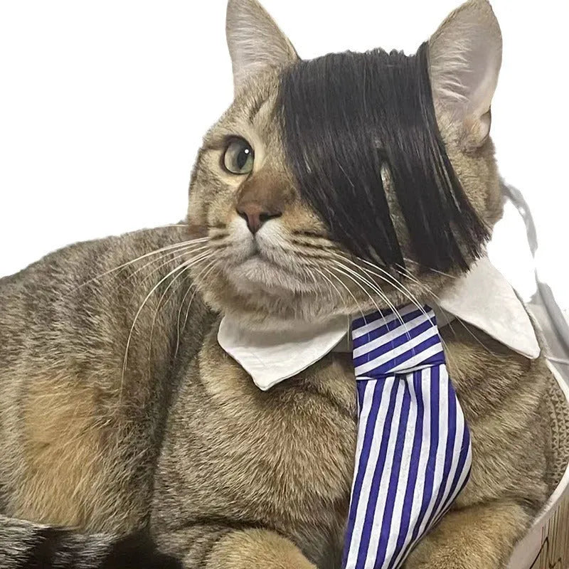 Black polyester cat wig styled as an imitation braid for pet dress-up.