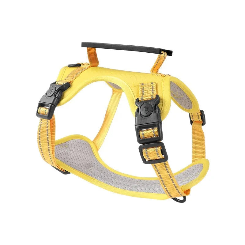 Adjustable polyester dog chest harness and matching lead shown in one of six available colours.