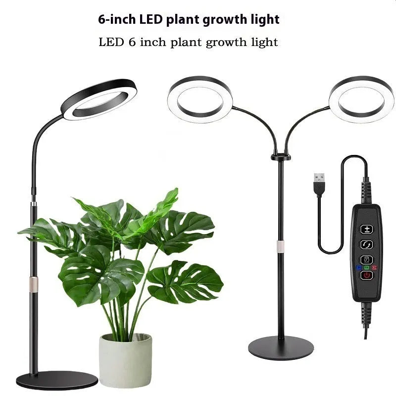 A tall, retractable aluminium floor stand with a 6-inch ring LED plant grow light at the top, positioned next to indoor houseplants.