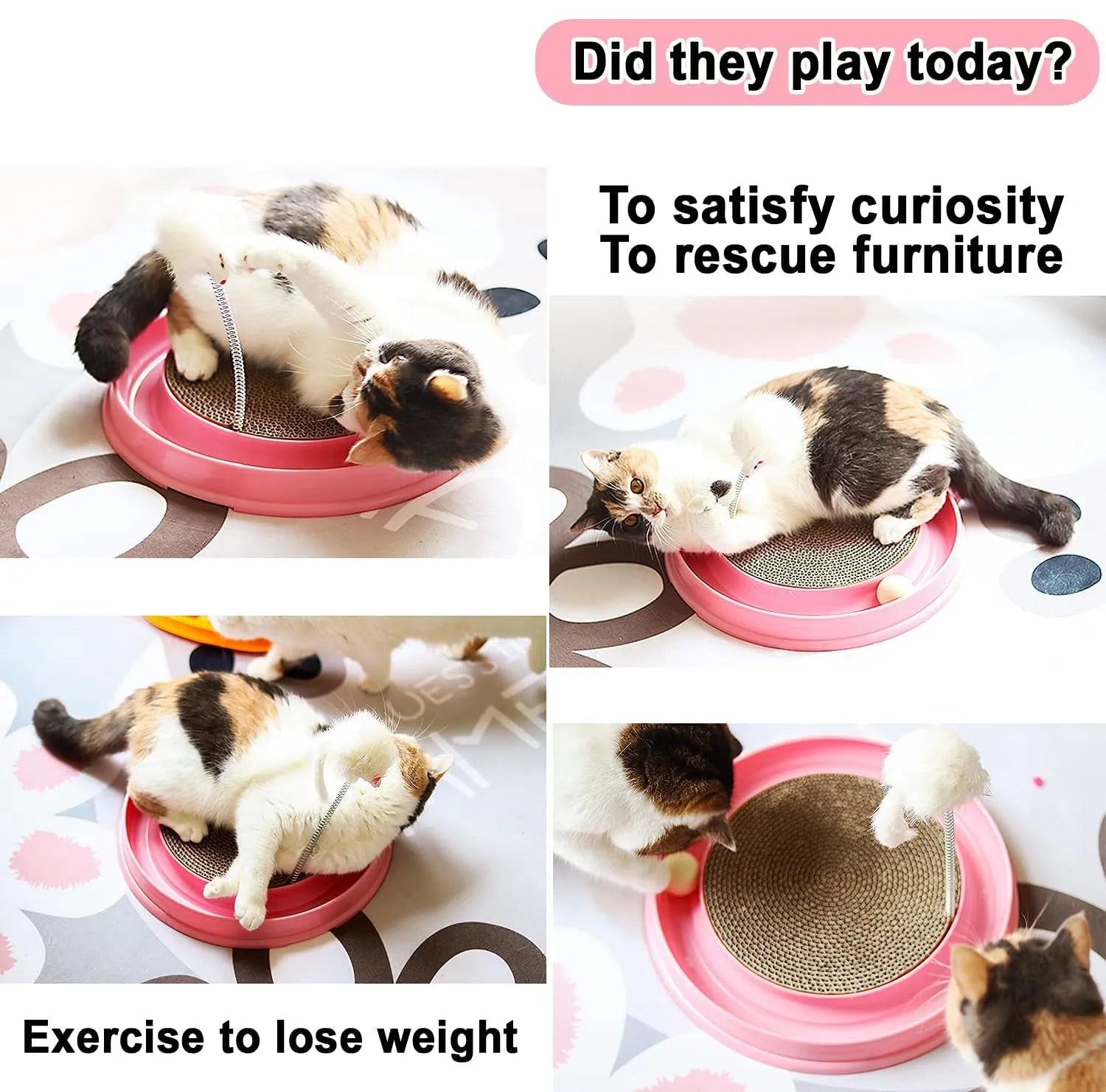 Blue interactive cat scratcher toy with a round scratching pad, ball track, and a mouse swatter on a circular base.