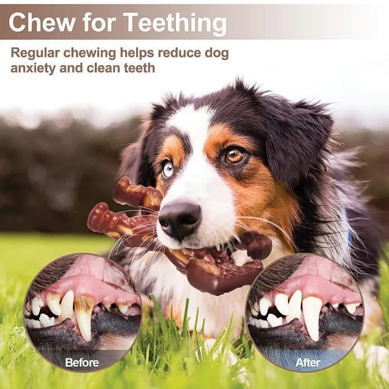 Scarlet red nylon dog molar chewing toy with beef flavour for large breed dental exercise