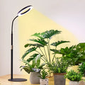 A tall, retractable aluminium floor stand with a 6-inch ring LED plant grow light at the top, positioned next to indoor houseplants.