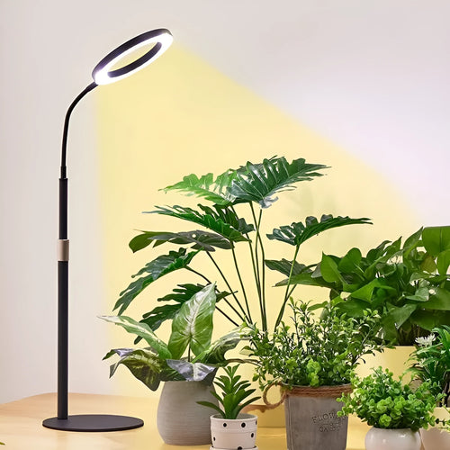 A tall, retractable aluminium floor stand with a 6-inch ring LED plant grow light at the top, positioned next to indoor houseplants.