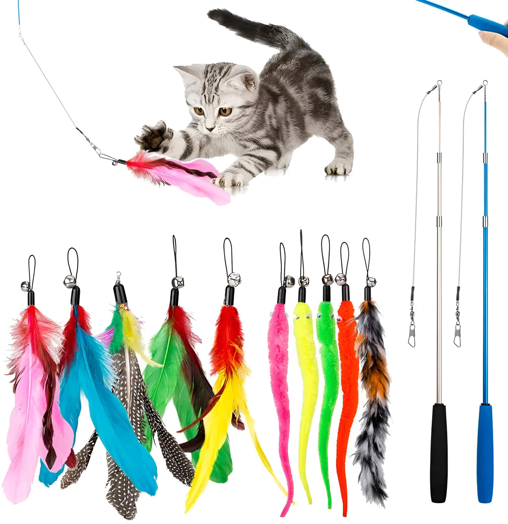 Cat teasing rod set with two fishing pole handles and ten colourful feather replacement heads