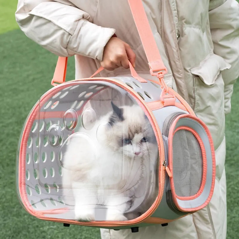 Transparent hard EVA cat backpack carrier in space capsule design with backpack straps