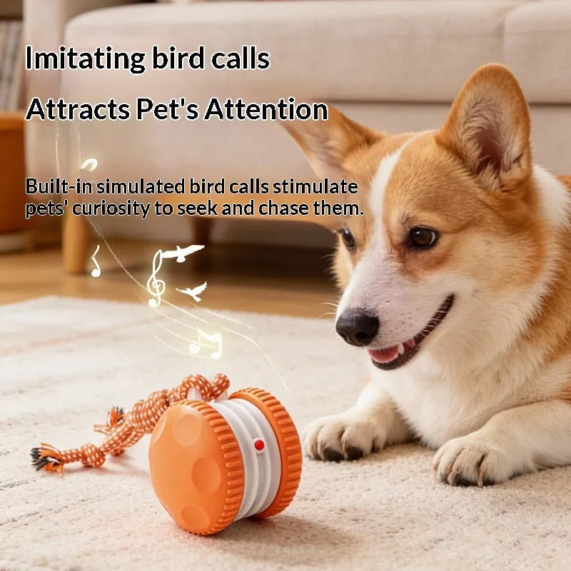 Rechargeable orange rolling ball pet toy made from durable ABS plastic with automatic movement for cats and dogs
