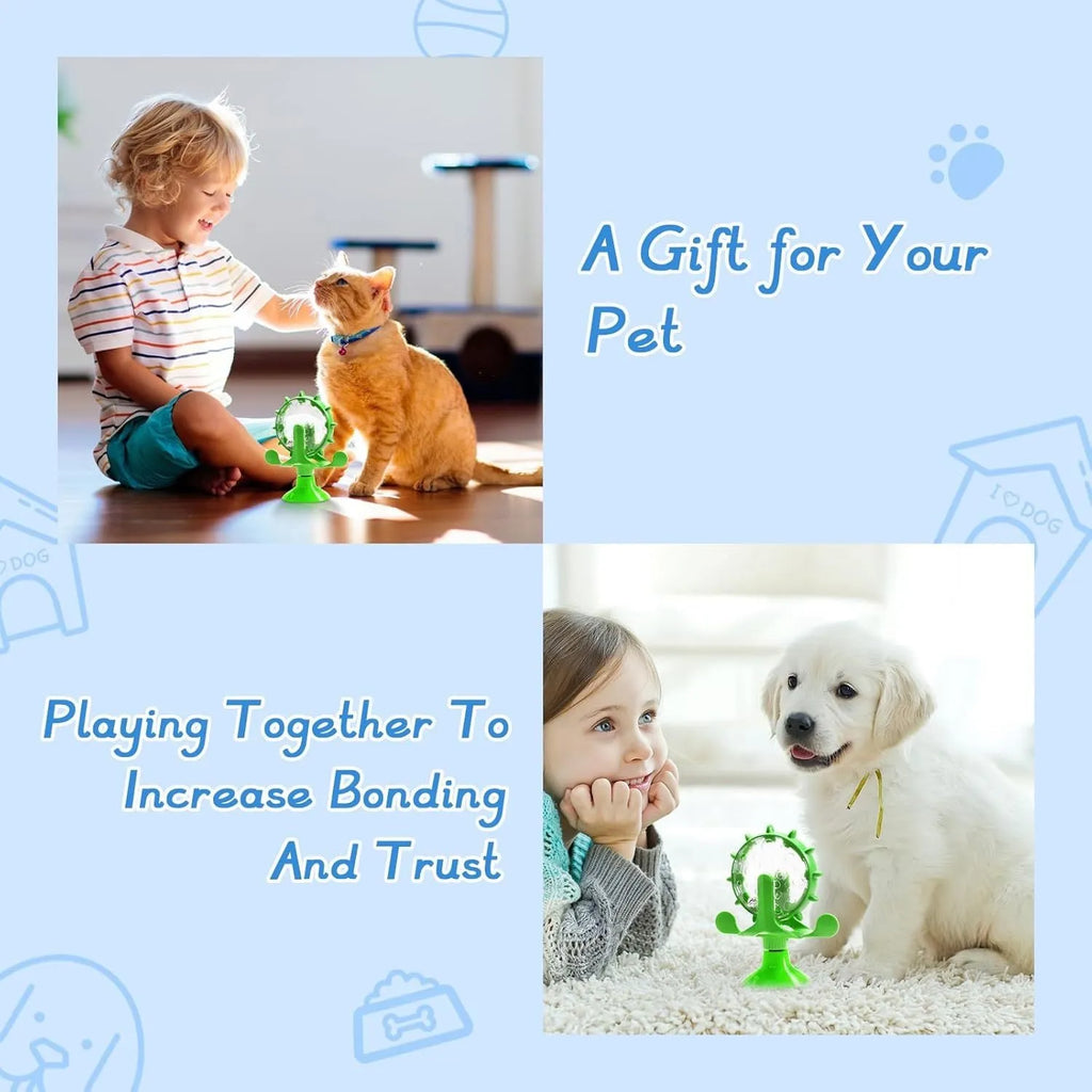 Interactive pet spinner feeder toy in blue green red yellow colours with floor sucker for cats and small dogs