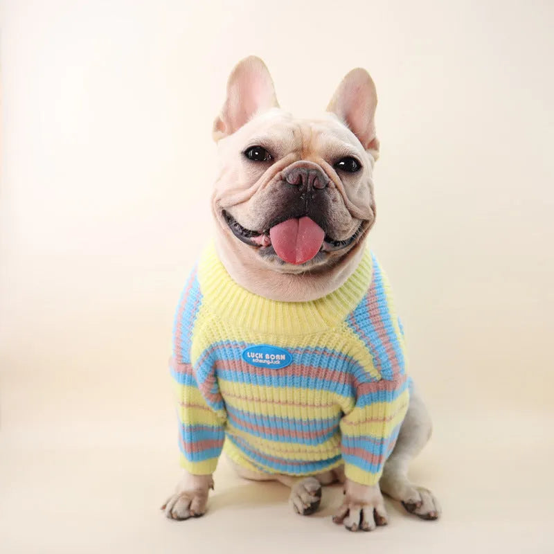 Blue and yellow striped wool dog sweater for small breeds in casual style