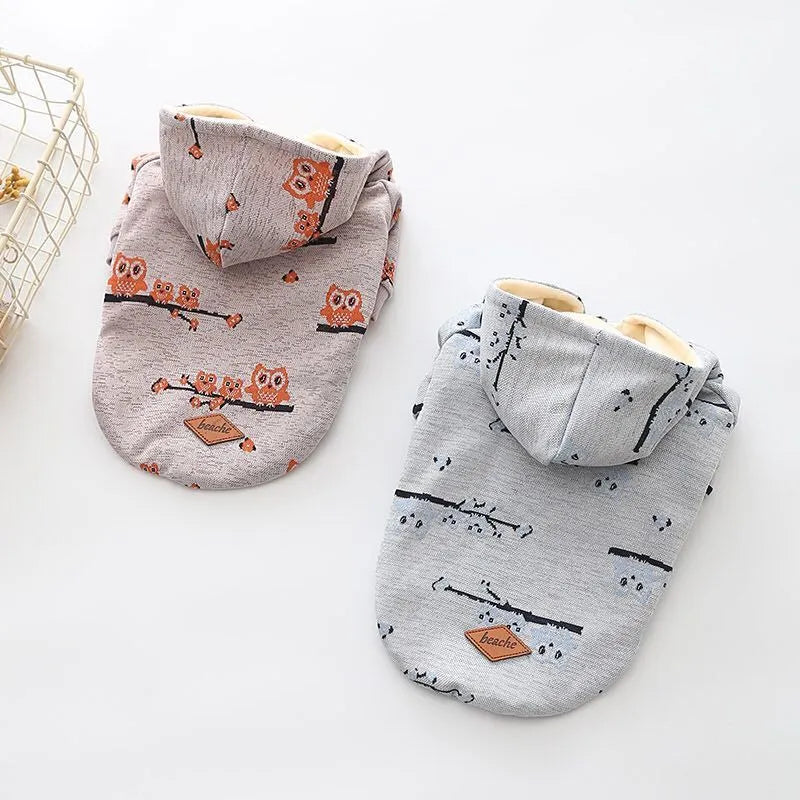 Blue cotton dog pattern sweater coat with front zipper closure on dog model