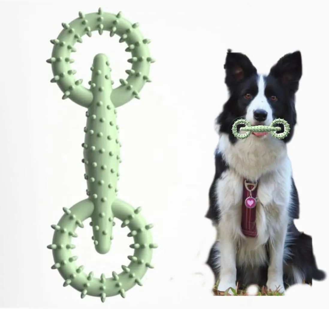 Blue TPR dog chew toy ring measuring 16 cm diameter for puppy teething and chewing