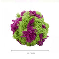 Purple plush dog ball toy with seaweed ball design for teething and interactive play