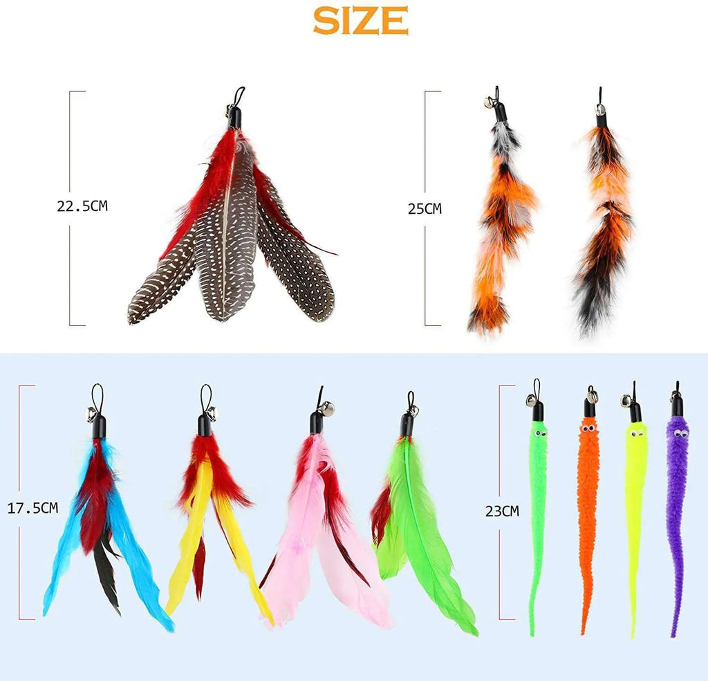 Cat teasing rod set with two fishing pole handles and ten colourful feather replacement heads
