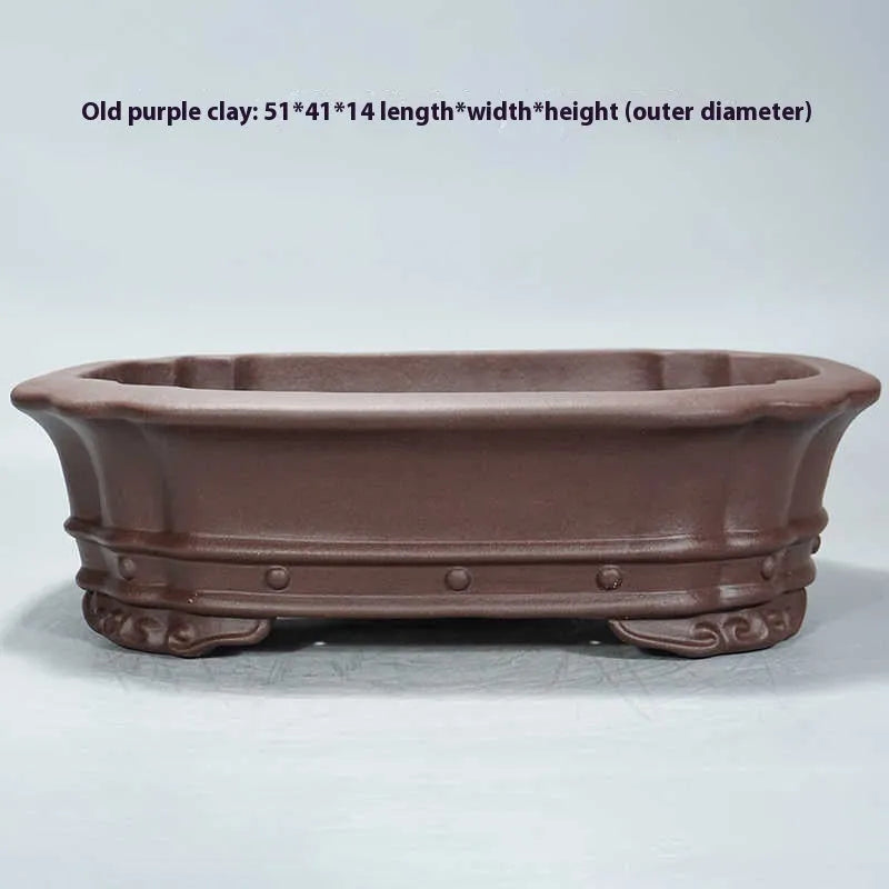 Purple clay rectangular begonia flower pot 51x41cm on desktop