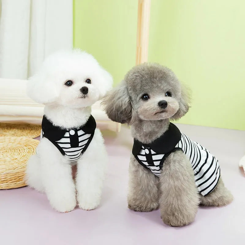 Striped cotton t-shirt and skirt set for dogs or cats on a mannequin, showing casual summer pet clothing.