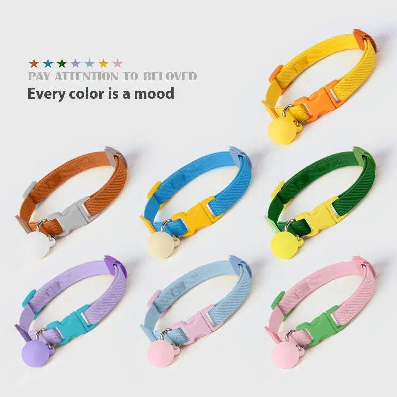 A monochrome high-elasticity polyester collar for a small dog, shown in one of seven colours.