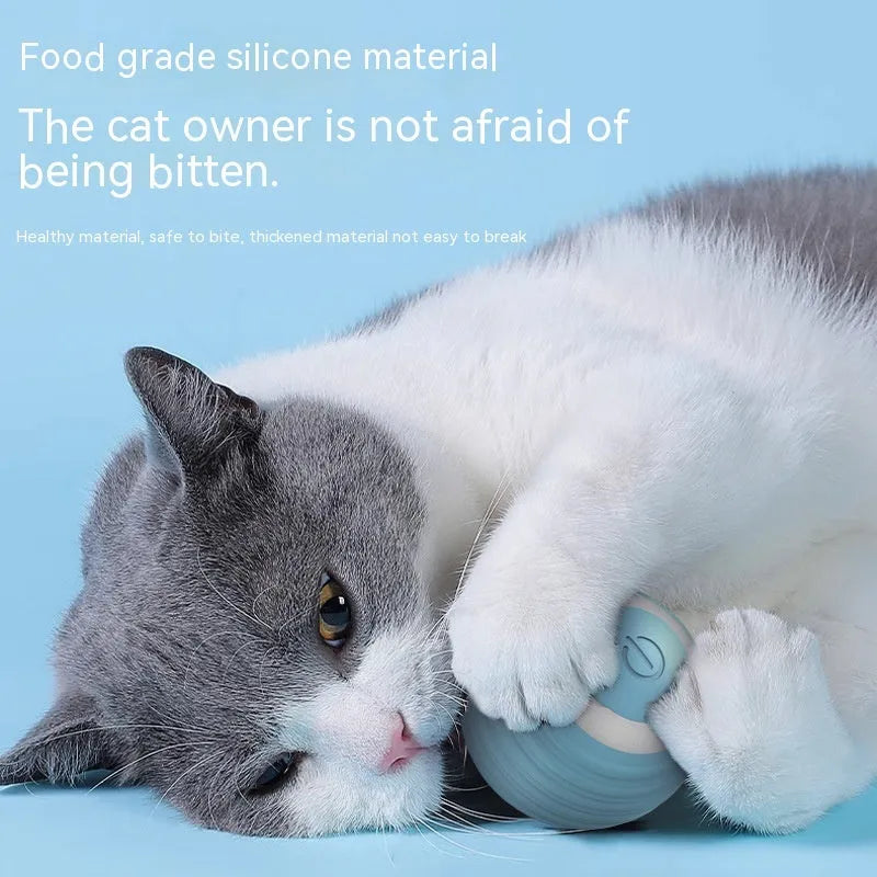 Blue automatic rechargeable self-moving cat toy ball on floor