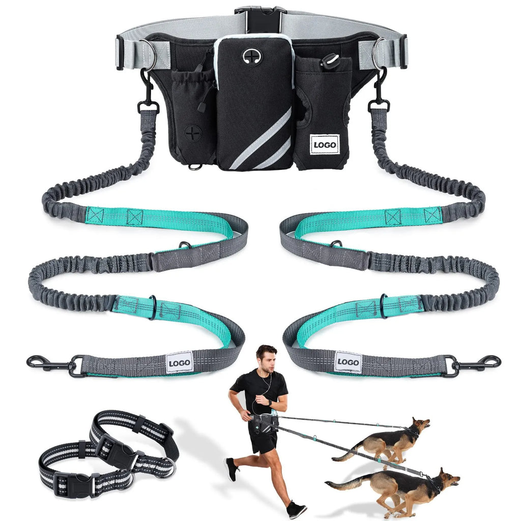 Black nylon outdoor pet training bag set with waist bag, dog leash, and collar components