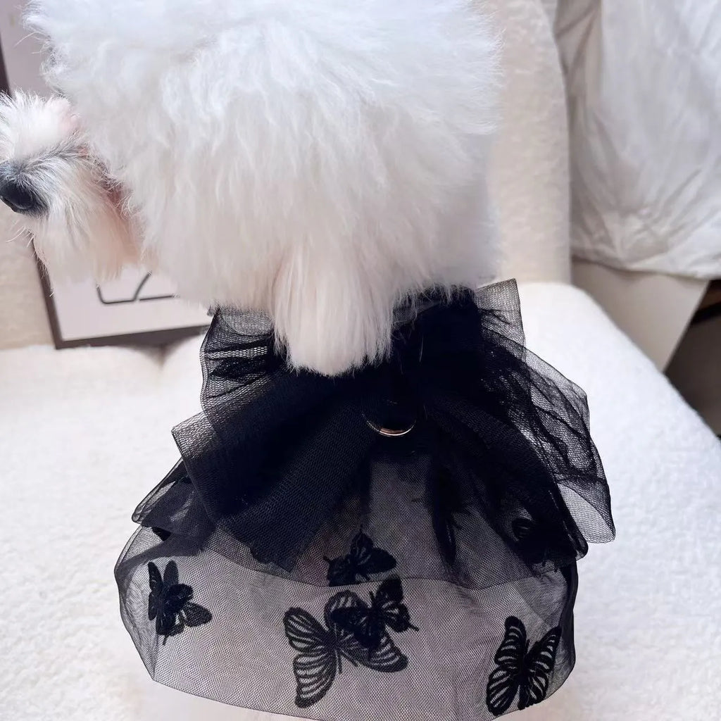 Black tulle princess skirt costume on a small dog, showing the gauze material and fit.