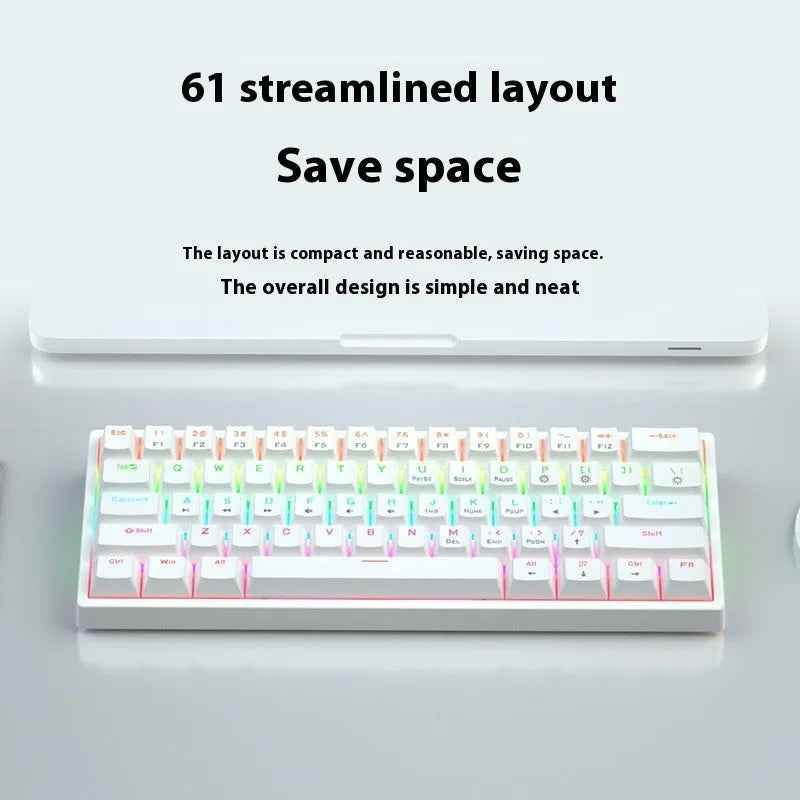 Small 61-key wired mechanical keyboard with hot-swappable sockets and multiple switch options