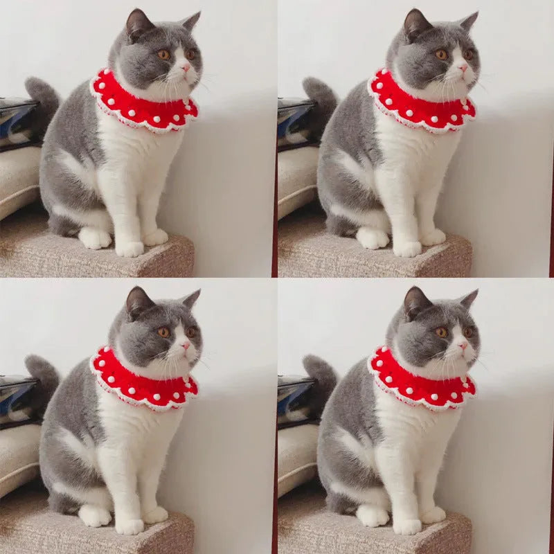 Cartoon pattern wool knitted collar for pets in four sizes with milk cotton construction