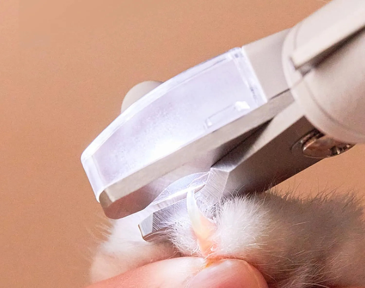 White pet nail clippers with LED light and transparent splash guard open, showing the triangular steel blade.