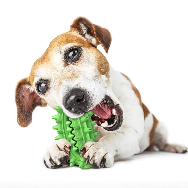 Green and yellow cactus-shaped dog toothbrush toy for aggressive chewers with dental cleaning bumps