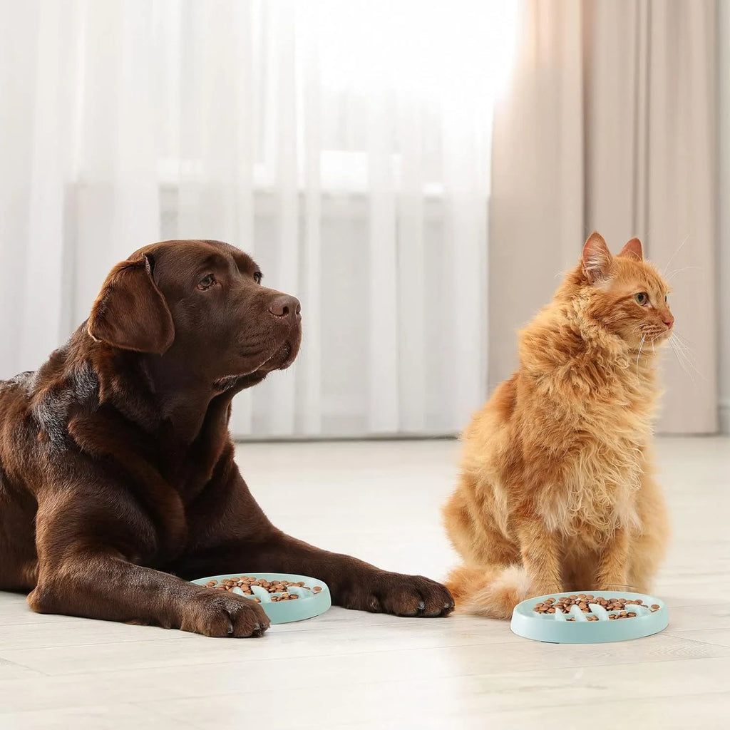 Green melamine fishbone slow feeder bowl for cats with raised ridges on a plain background