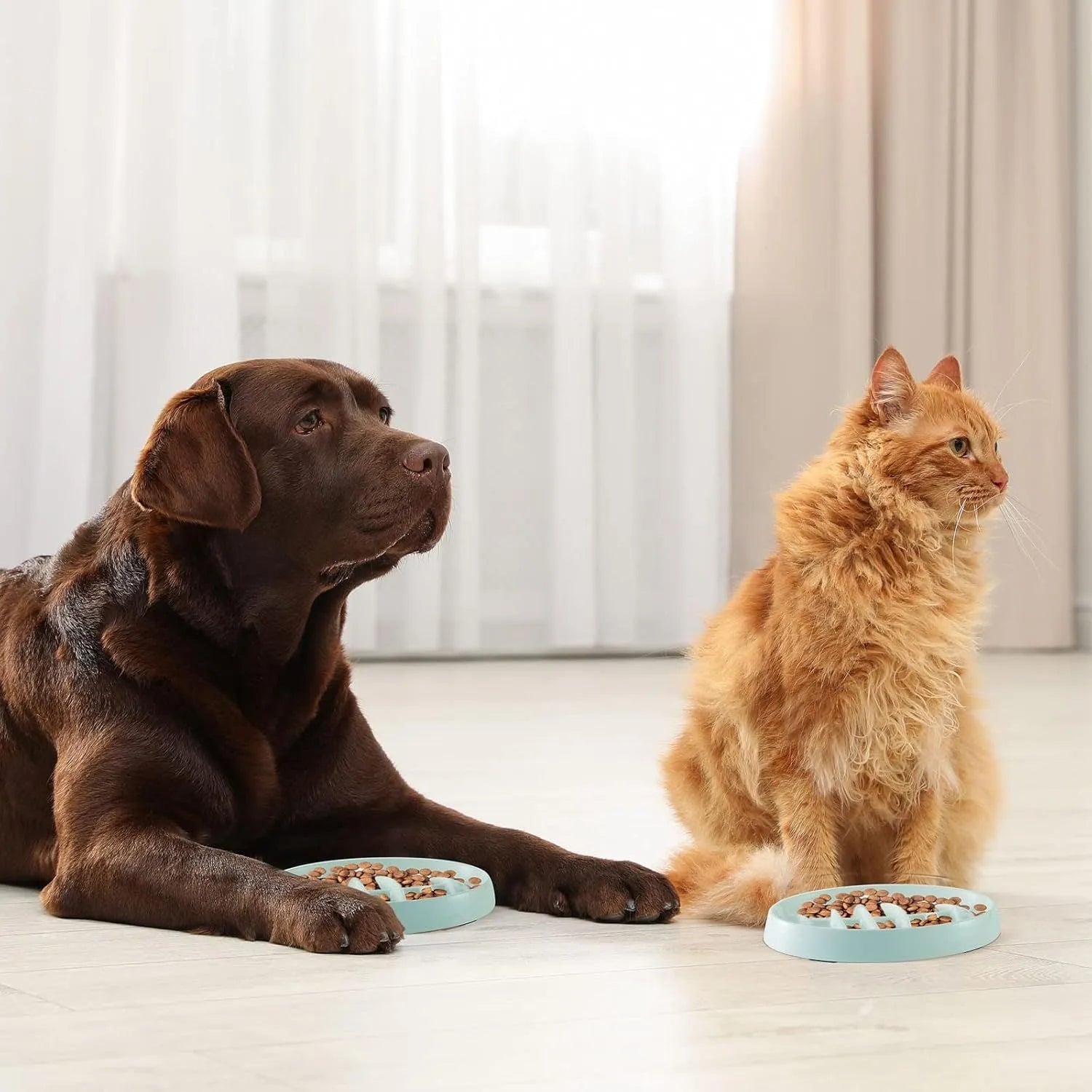 Green melamine fishbone slow feeder bowl for cats with raised ridges on a plain background