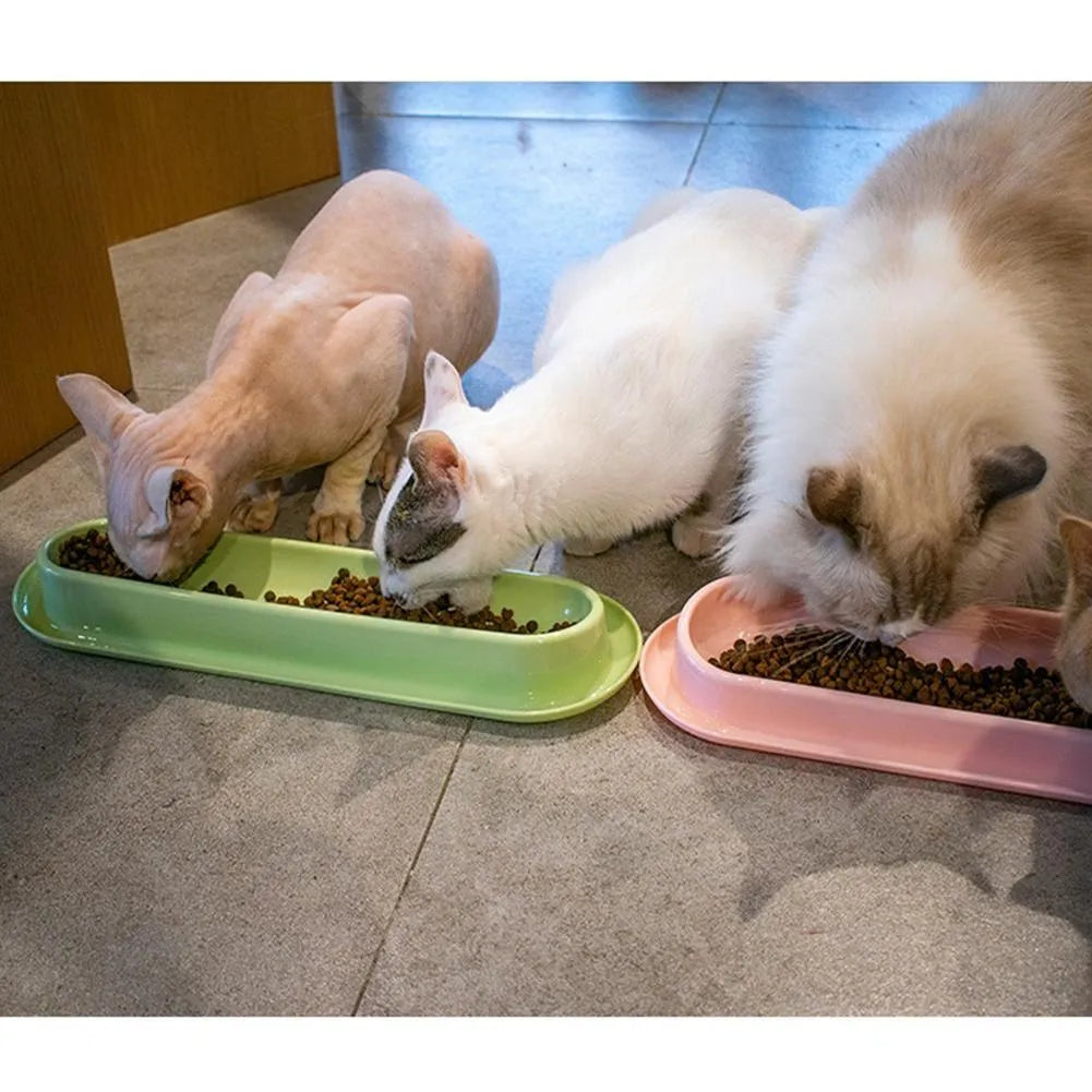Green leakproof pet bowls with non-slip rubber bases, set of two for dog and cat feeding