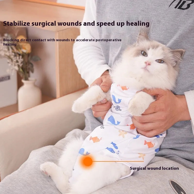 A cat wearing a blue polyester recovery suit with Velcro fastenings after sterilisation surgery.