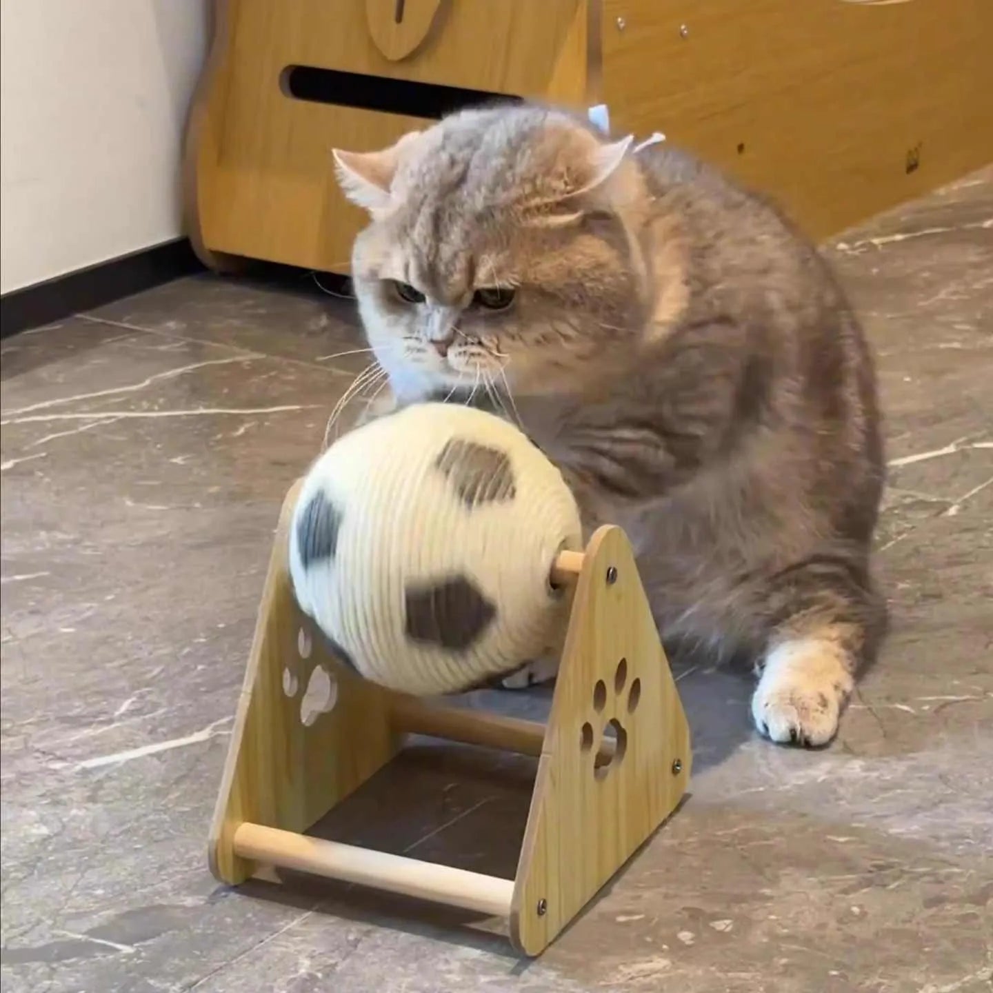 Football-style solid wood sisal cat scratch board vertical grounder on floor