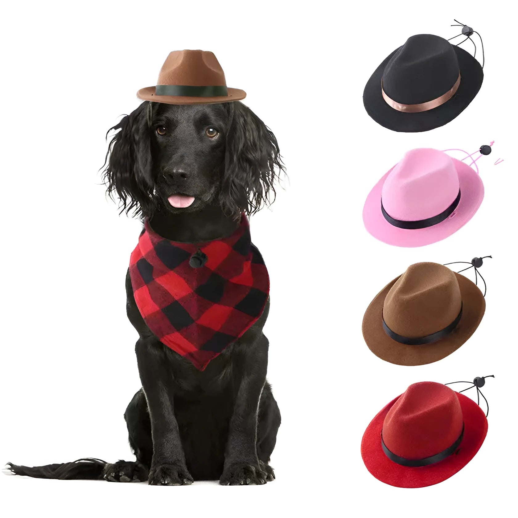 S size mini pet hat in wool felt material with 15.5cm diameter measurement