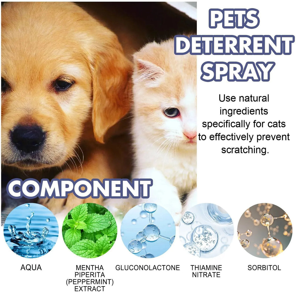 50ml pet training spray bottle in box for deterring scratching on furniture