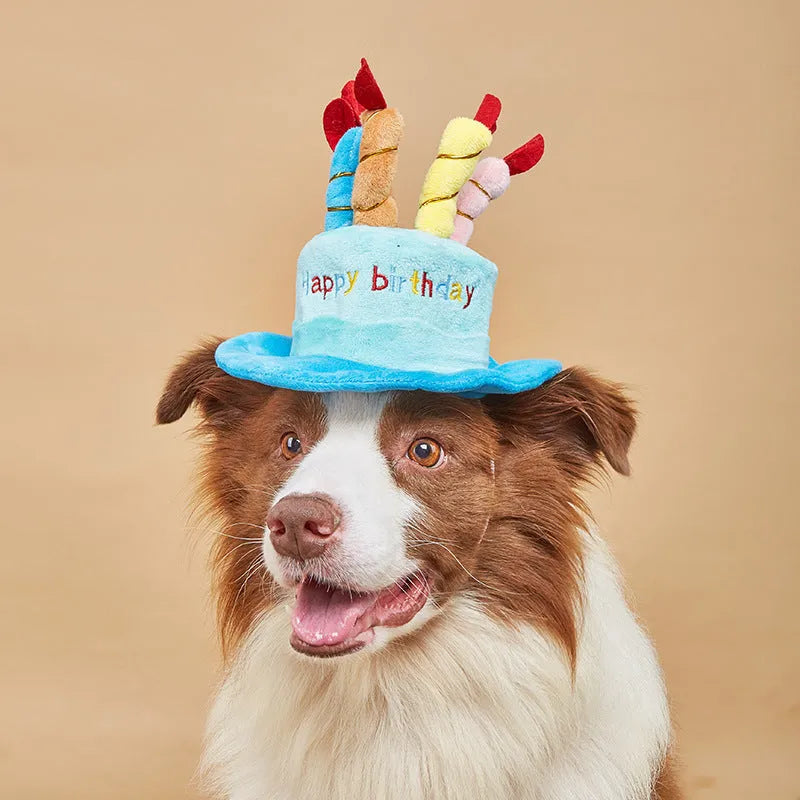 Blue and pink birthday hats for toy dogs on a festive background.