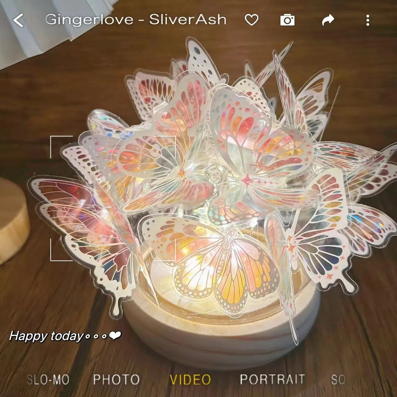 Butterfly night light DIY kit with glass lampshade and raw wood base measuring 12x15cm