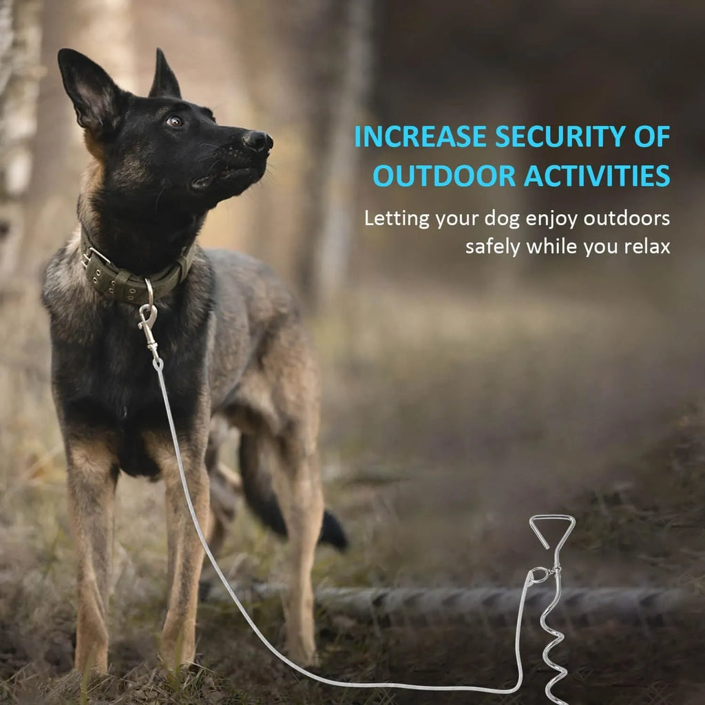 Silver spiral dog tie-out stake for outdoor tethering in sandy ground