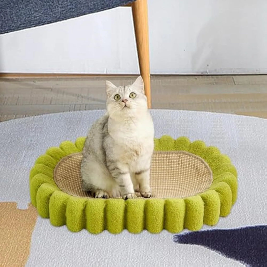 Green oval cat scratch pad bed with sisal scratching surface measuring 650x420mm