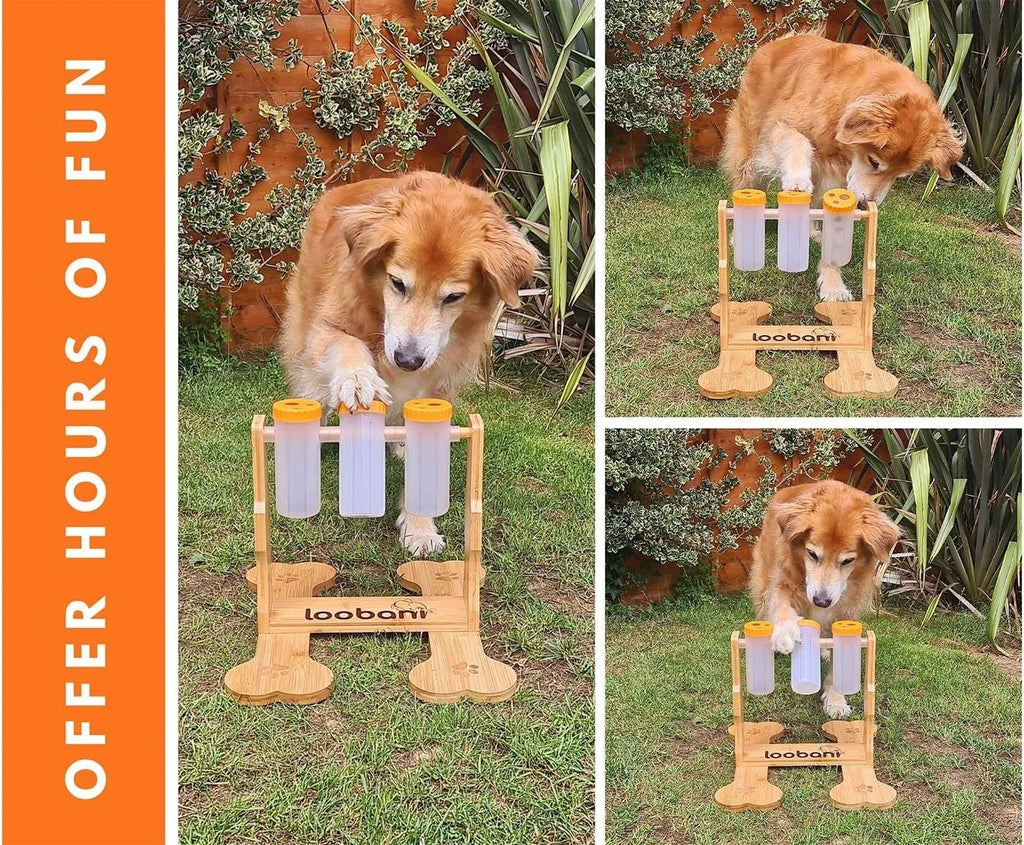 Wooden dog puzzle toy interactive feeder with natural wood colour