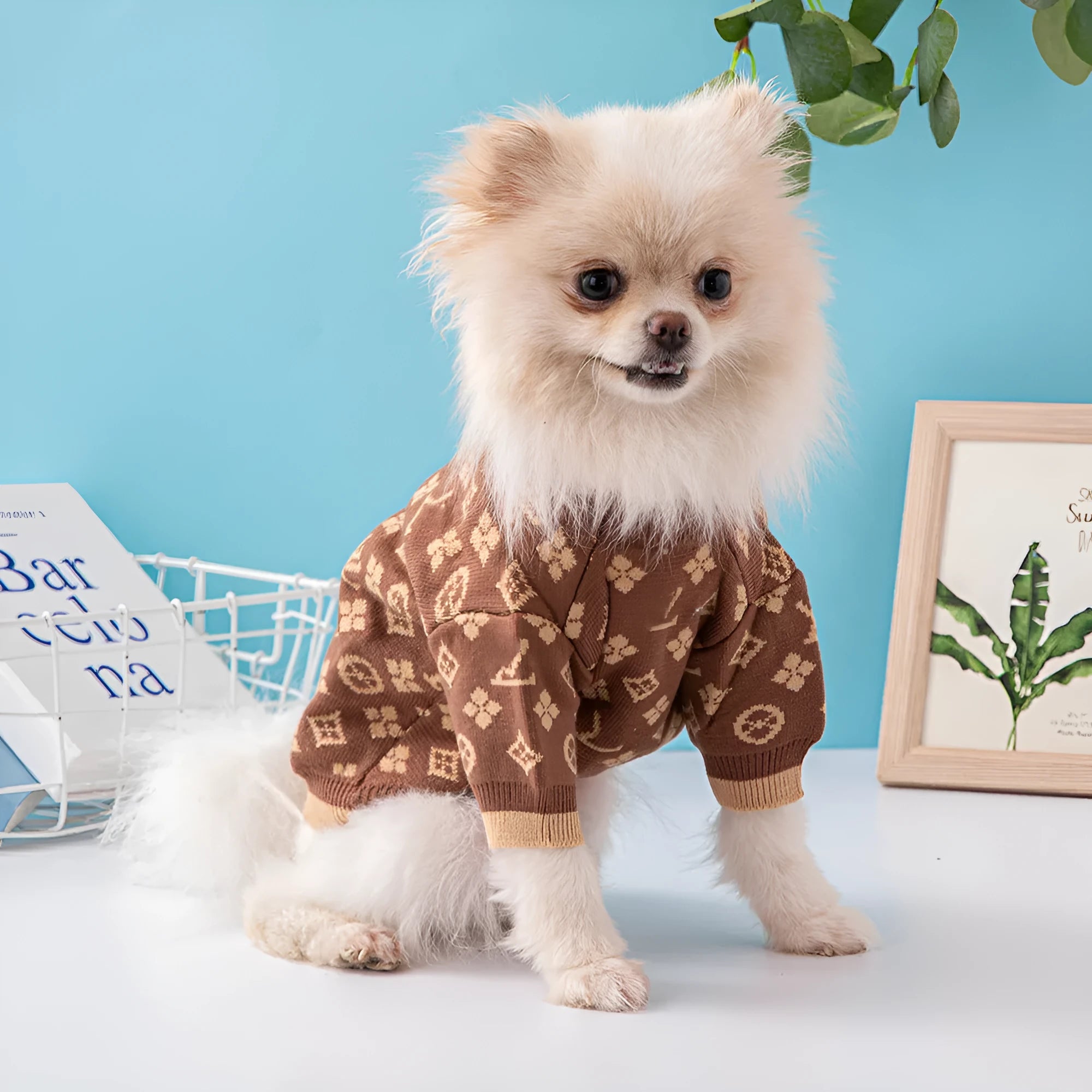 Wool dog sweater in European American style for autumn and winter warmth