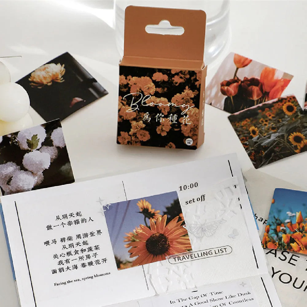 Nordic decorative sticker sheets showing floral and romantic designs in box packaging