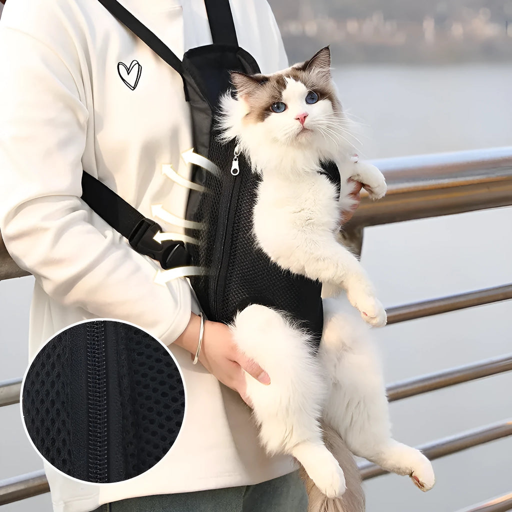 A person wearing a black nylon dog carrier backpack on their chest, with a small dog inside looking out.
