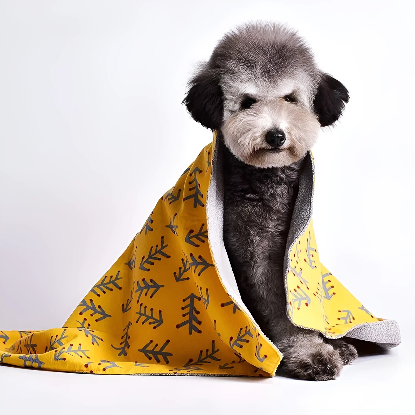Colourful double-sided cotton wool pet blanket with dinosaur and cartoon bear prints laid flat.