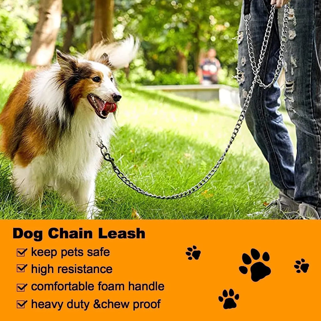Heavy-duty black metal chain dog leash with a soft blue padded handle, shown attached to a dog collar.
